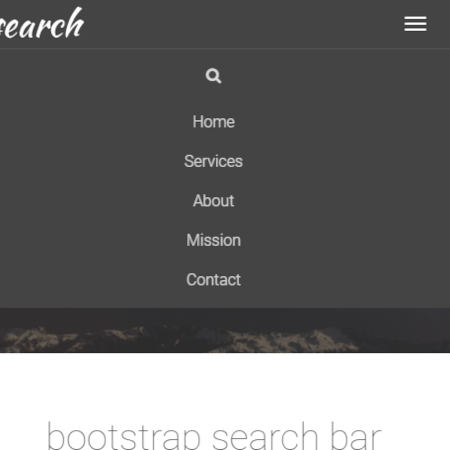 search box responsive,  integree dans une navbar