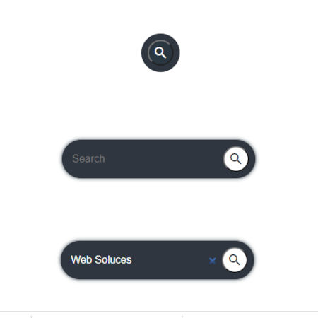 search box en CSS pur